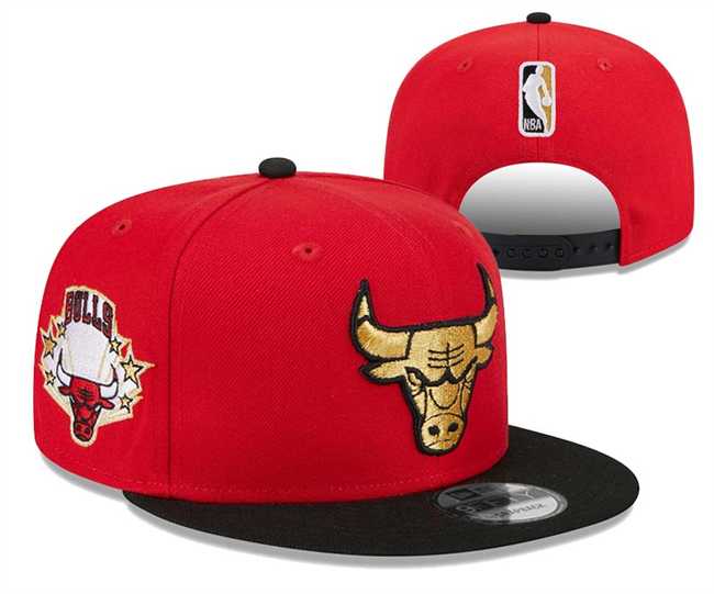 Chicago Bulls Stitched Snapback Hats 0106,We sell and wholesale Chicago Bulls Stitched Snapback Hats 0106 on line form chian!